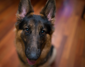 Uber Exif Photo