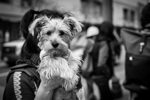 Uber Exif Photo