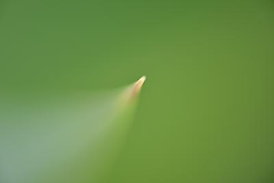 Uber Exif Photo