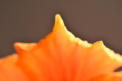 Uber Exif Photo