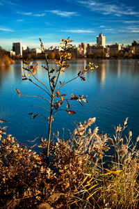 Uber Exif Photo