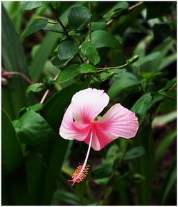 Uber Exif Photo