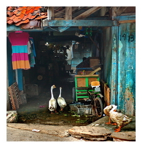 Uber Exif Photo