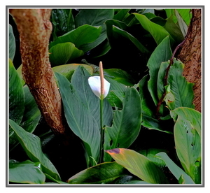 Uber Exif Photo