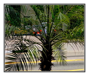 Uber Exif Photo