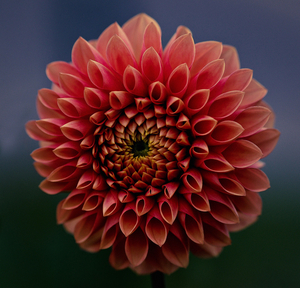 Uber Exif Photo