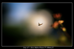 Uber Exif Photo