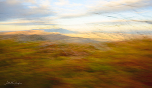 Uber Exif Photo