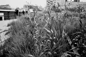 Uber Exif Photo