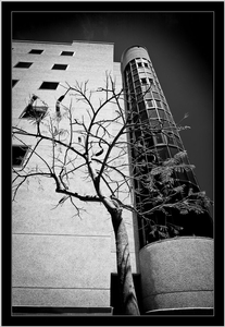 Uber Exif Photo