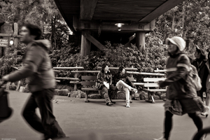 Uber Exif Photo