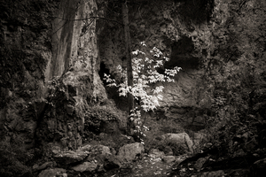 Uber Exif Photo