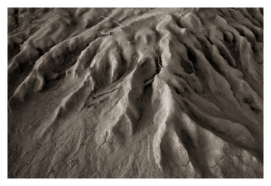 Uber Exif Photo