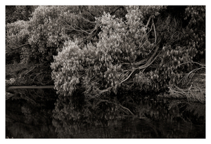 Uber Exif Photo