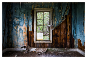 Uber Exif Photo