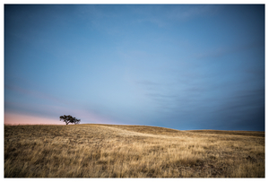 Uber Exif Photo