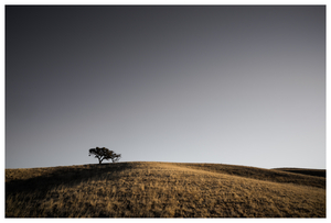 Uber Exif Photo