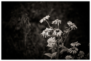 Uber Exif Photo
