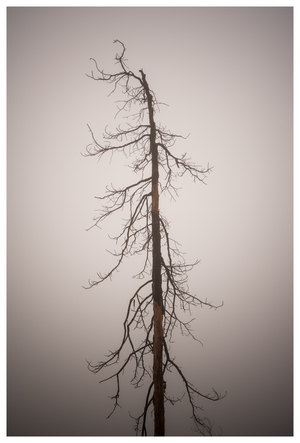Uber Exif Photo