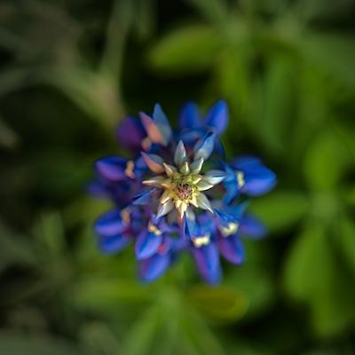 Uber Exif Photo