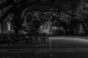 Uber Exif Photo