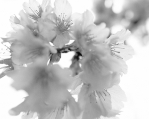 Uber Exif Photo