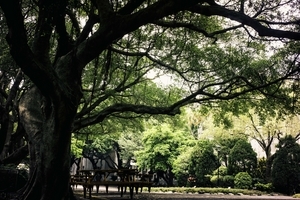 Uber Exif Photo