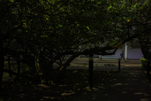 Uber Exif Photo
