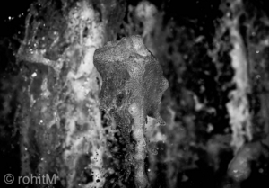 Uber Exif Photo