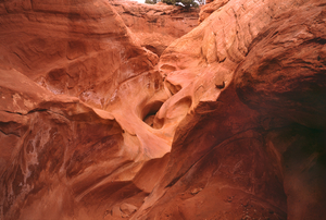 Uber Exif Photo