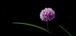 Uber Exif Photo