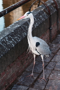 Uber Exif Photo