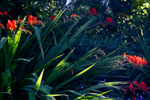 Uber Exif Photo