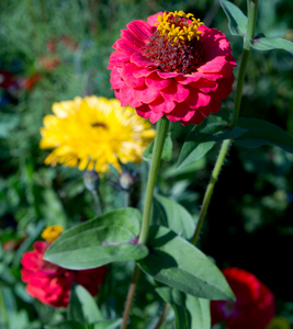 Uber Exif Photo