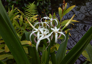 Uber Exif Photo