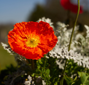 Uber Exif Photo