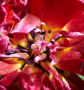 Uber Exif Photo