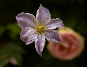Uber Exif Photo