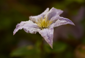 Uber Exif Photo