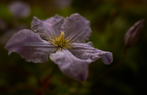 Uber Exif Photo
