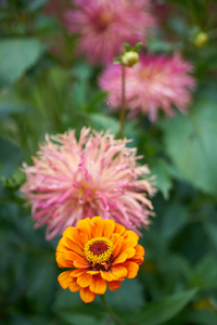Uber Exif Photo
