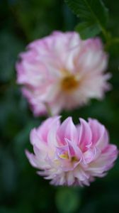 Uber Exif Photo