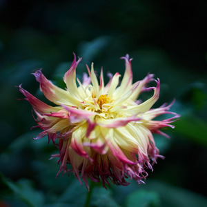 Uber Exif Photo