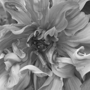 Uber Exif Photo