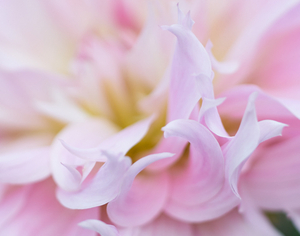 Uber Exif Photo