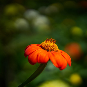 Uber Exif Photo