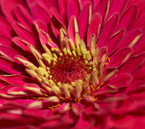 Uber Exif Photo