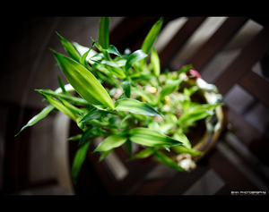 Uber Exif Photo