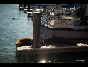 Uber Exif Photo