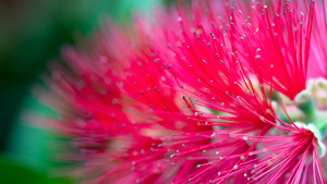 Uber Exif Photo